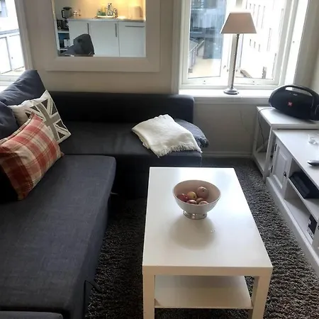 Appartement Fin Og Super Sentral *