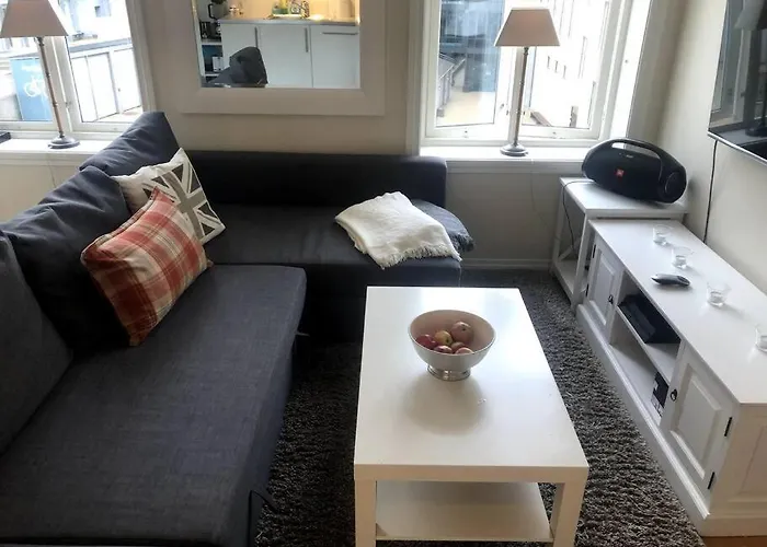 Apartment Fin Og Super Sentral *