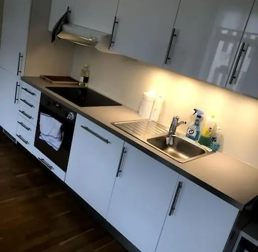 Apartment Fin Og Super Sentral *